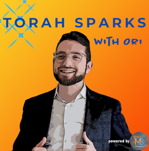 Torah Sparks