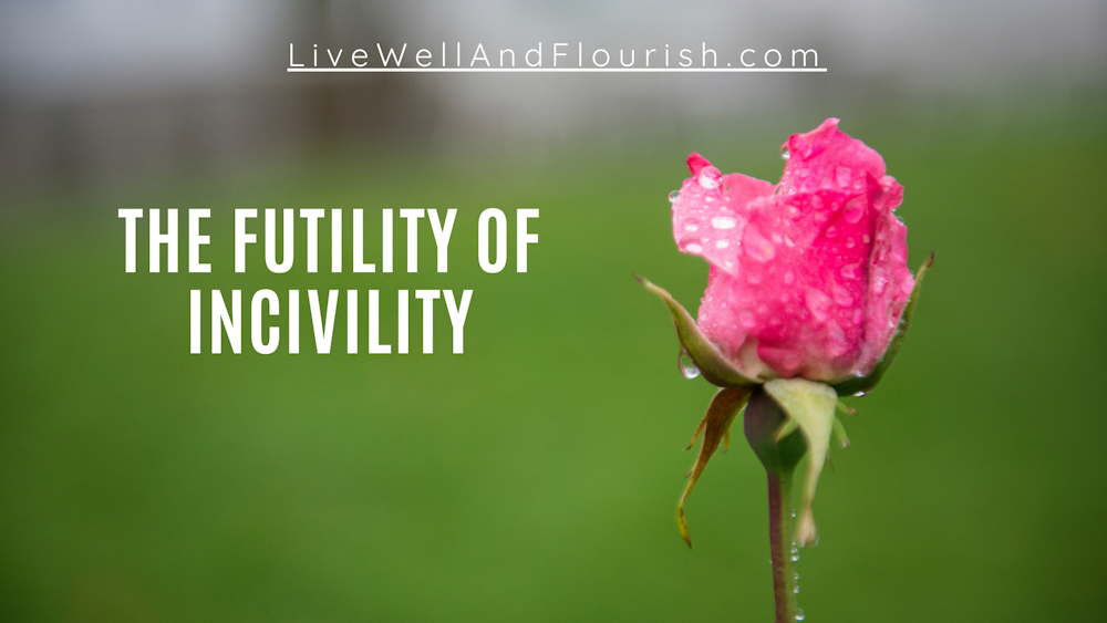 The Futility of Incivility