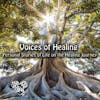 Episode 252: Voices of Healing – Personal Stories of Life on the Healing Journey