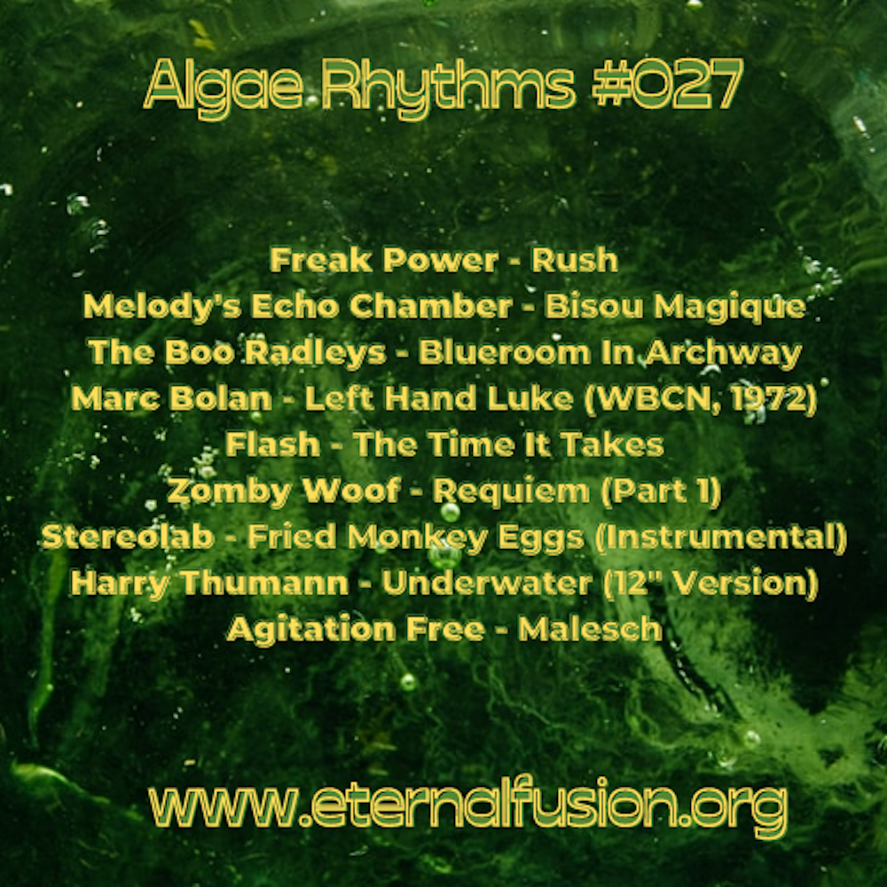 Algae Rhythms #027