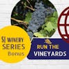 Run The Vineyards 🏃 at Renault Winery