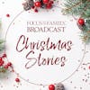 Season 2, Episode 4: Christmas Stress-Test