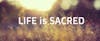 Only 39 Percent of Americans Believe 'Life Is Sacred,' Barna Finds