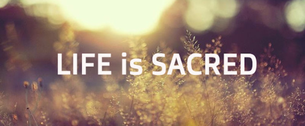 Only 39 Percent of Americans Believe 'Life Is Sacred,' Barna Finds