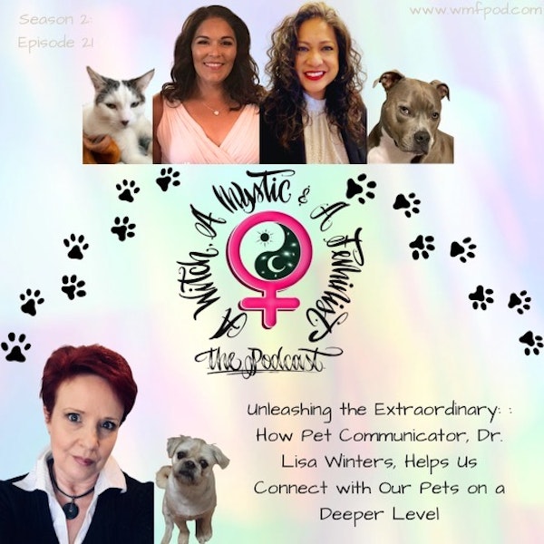 Unleashing the Extraordinary: How Pet Communicator, Dr. Lisa Winters, Helps Us Connect with our Pets on a Deeper Level