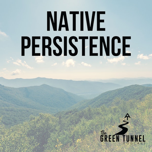 Native Persistence