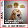 Can Your Dog Tell If You Lie To Them? | A Dog Movie That Digs Deep | Dog Edition #35