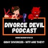 What is a Gray Divorce?  ||  Divorce Devil Podcast #150  ||  David and Rachel