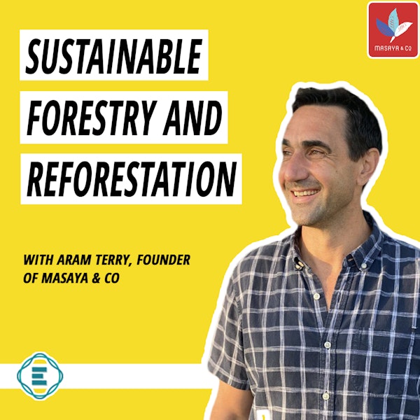 #172 - Sustainable Forestry & Reforestation: Three Unexpectedly Impactful & Profitable Businesses With Aram Terry, Founder of Masaya & Co.