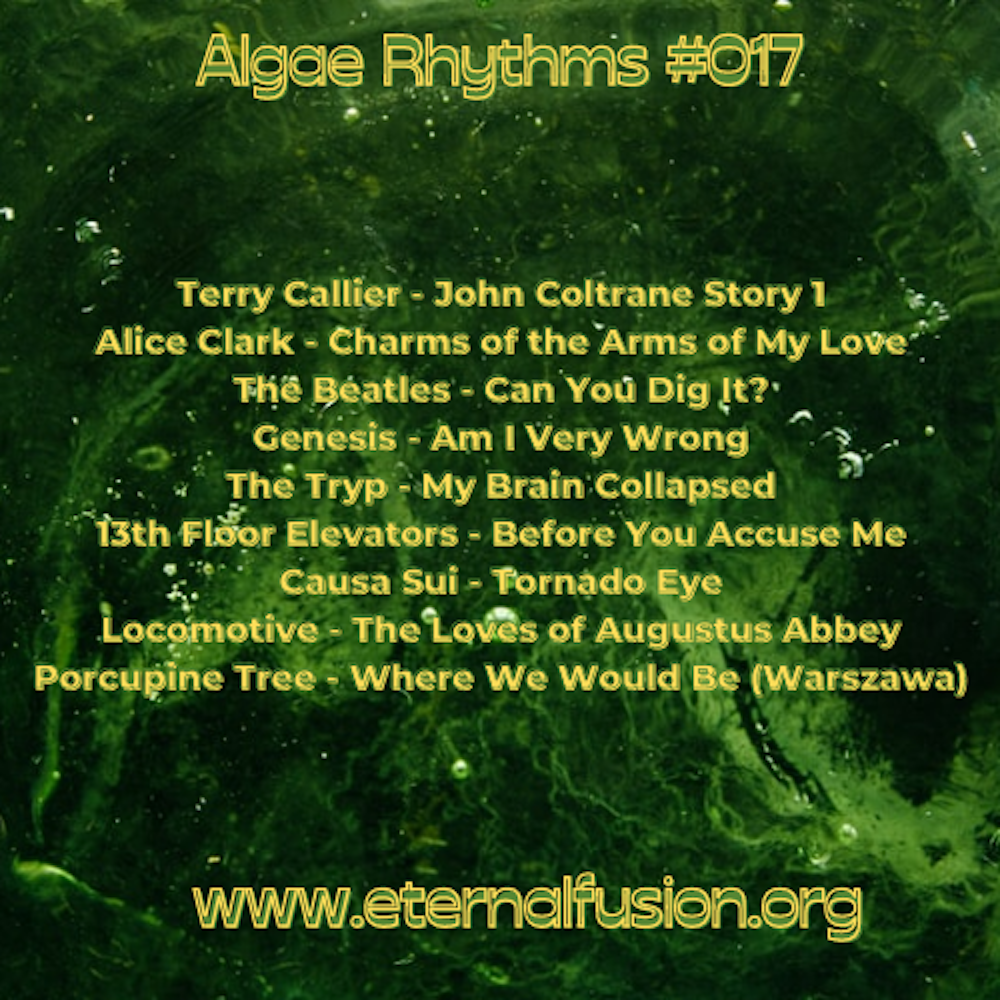 Algae Rhythms 017