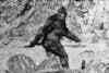 The Enigma of Bigfoot: A Mythic Journey into the Deep Woods