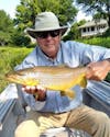 Trophy Trout on the White River with Davy Wotton