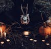 Samhain and the Halloween Connection