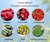 #353 Sezonowe warzywa i owoce - Seasonal vegetables and fruits