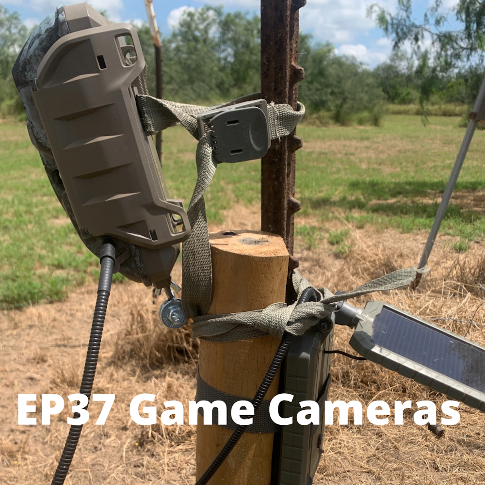 Ep 37 Game Cameras