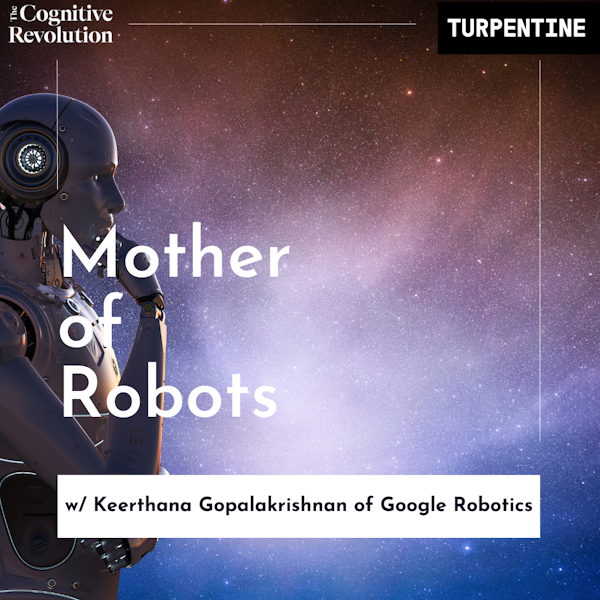 E12: The Robot Revolution with Keerthana Gopalakrishnan of Google Robotics