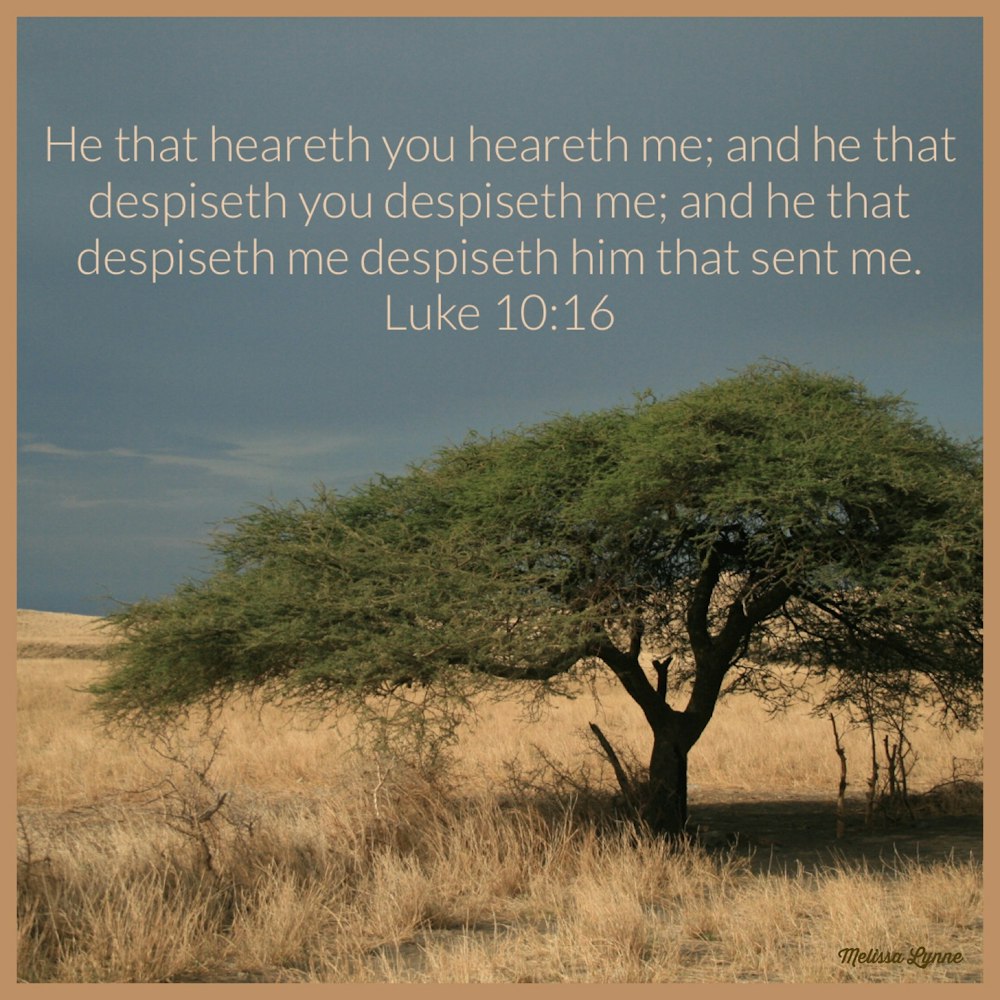 He that Despiseth Me Despiseth Him that Sent Me