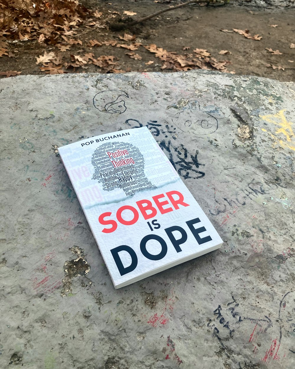 Sober is Dope: Spiritual Quitlit and Sobriety Book