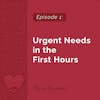 1: Urgent Needs in the First Hours