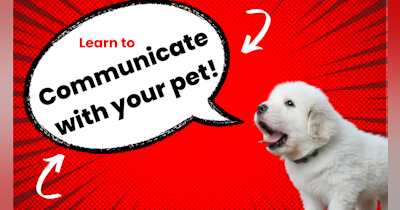 image for Nonverbal Communication: The Key to Clarity with Your Pet