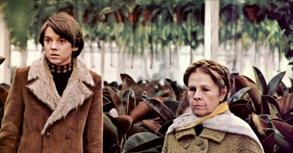Midweek Mention... Harold and Maude