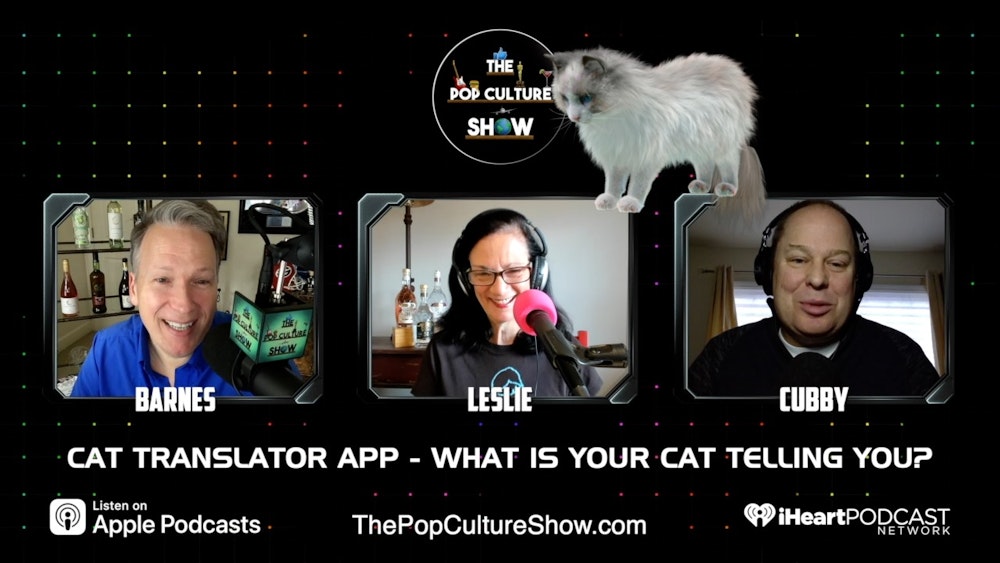 Cat Translation - What’s new pussycat? Can an app tell you how your cat is feline?