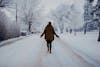 Step Count Science: The Hidden Health Benefits of Winter Walking