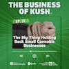 The Big Thing Holding Back Small Cannabis Businesses