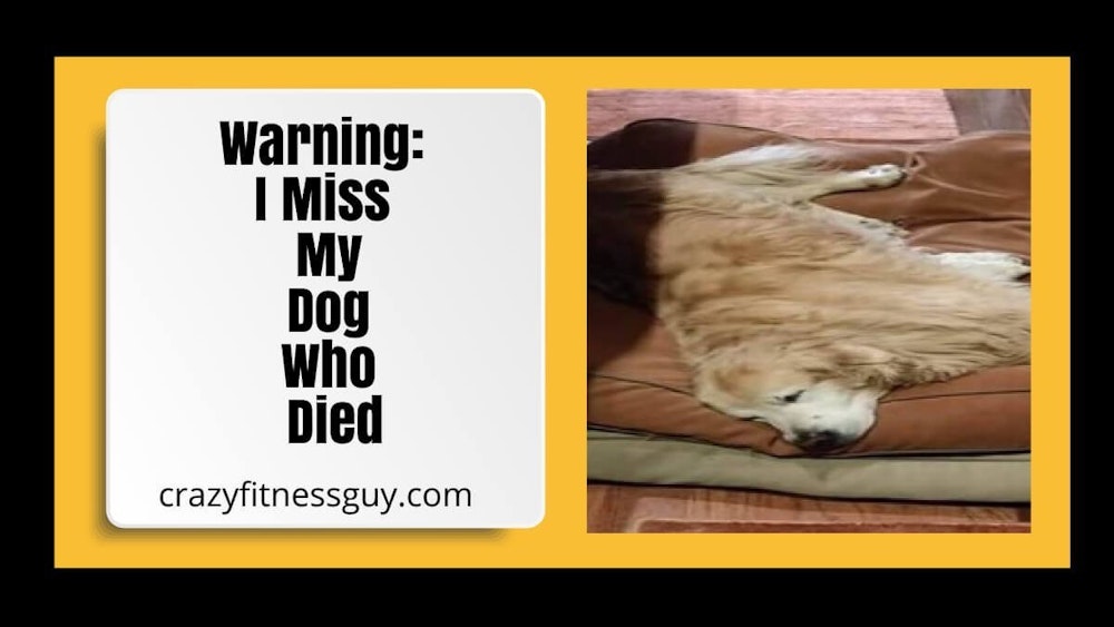 Warning: I Miss My Dog Who Died
