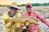 Fishing Western Montana with Jason Morrison, Jason Morrison Outfitters