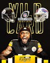 THE STEELERS TAKE DOWN THE RATBIRDS 17-10 AND GET INTO THE NFL PLAYOFFS!