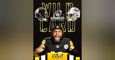 image for THE STEELERS TAKE DOWN THE RATBIRDS 17-10 AND GET INTO THE NFL PLAYOFFS!