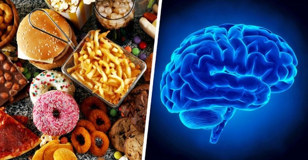 How Junk Food Rewires Your Brain