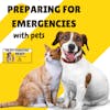 Preparing For Emergencies With Pets