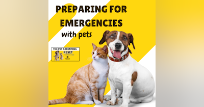 image for Preparing For Emergencies With Pets