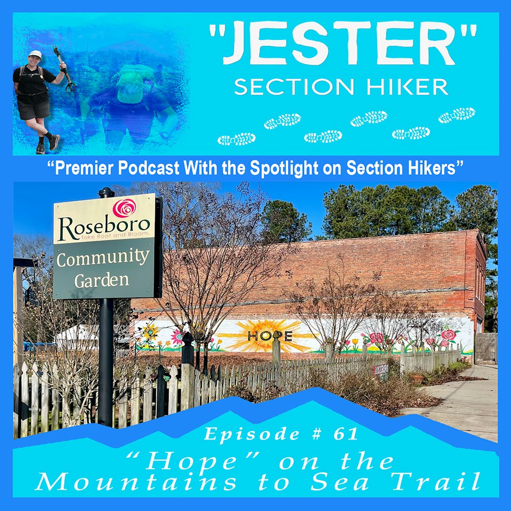 Episode #61 - 40 Day Hikes on the MST (Hikes 27 - 31)