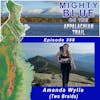 Episode #358 - Amanda Wylie (Two Braids)