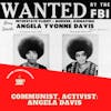 Communist, Activist: Angela Davis