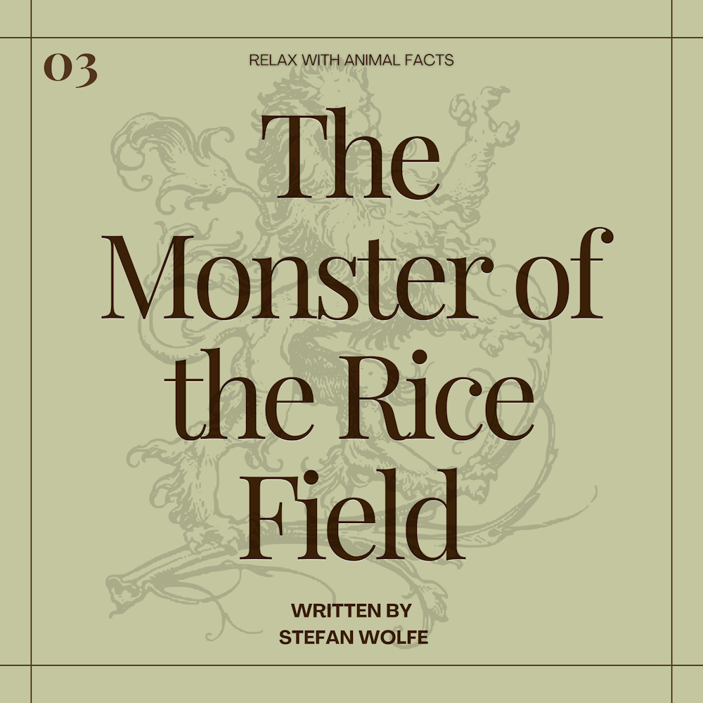 The Monster of the Rice Field