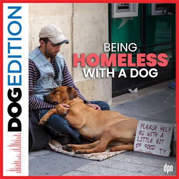 Being Homeless with a Dog | Dog Edition #66