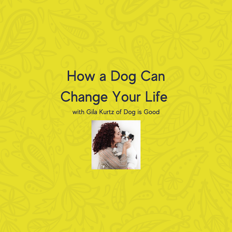 How a Dog Can Change Your Life with Gila Kurtz of Dog is Good