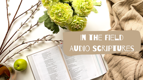 In the Field Audio Scriptures Newsletter Signup