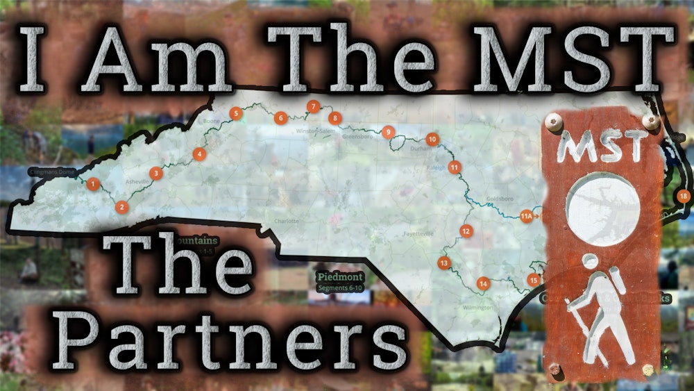 I Am The MST - The Partners