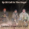 Ep 38 Call In The Dogs