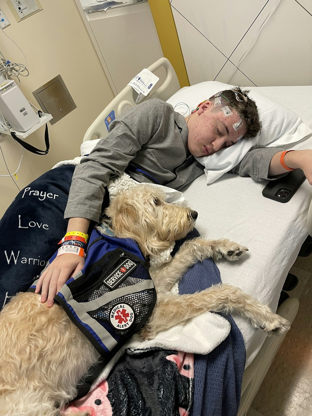 Service Dogs for Children who have Survived a Stroke
