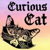 Shows We Love - Curious Cat Podcast