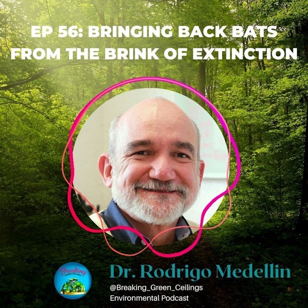 EP 56: Bringing Back Bats From the Brink of Extinction