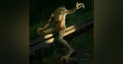 image for The Loveland Frog: A Legendary Amphibian