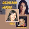 Blood Thinner than Water - The Sheena Bora Murder - Part 2