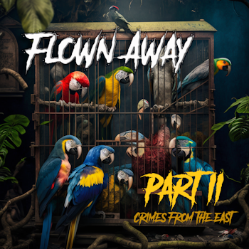 Flown Away - Part 2